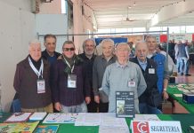 Gonzaga, la Millenaria ospita il 28° convegno filatelico, numismatico e piccolo collezionismo