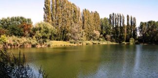 Pegognaga, proseguono le aperture domenicali dell’Oasi Falconiera