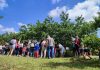 Una domenica alla scoperta della campagna: il 18 maggio torna “Per corti e cascine”
