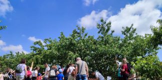 Una domenica alla scoperta della campagna: il 18 maggio torna “Per corti e cascine”