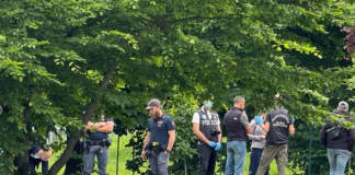 Parma, feto ritrovato sul marciapiede: indaga la polizia scientifica