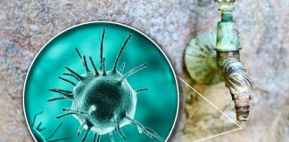 Malattie rare, Sitrac: “Non accessibile farmaco approvato in cheratite da Acanthamoeba”