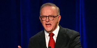 Anthony Albanese, chi è il premier laburista australiano con origini italiane