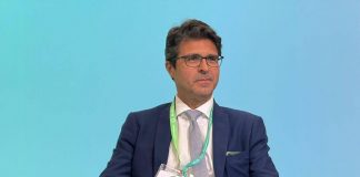 Andreoli (Renael e Aess): “Per transizione green puntare su partenariato”