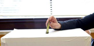 Referendum, costituzionalista Ainis: “Votare è un dovere costituzionale”