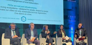 Rebuild 2025, Clerici Maestosi (Enea): “Distretti a energia positiva possibile risposta neutralità climatica”