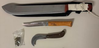 In auto con coltelli, machete e pistola: denunciato