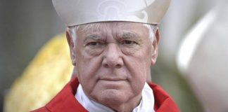 Elezione nuovo Papa, via al Conclave: chi è il cardinale Gerhard Ludwig Müller