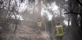 Israele ancora in fiamme, Netanyahu: “18 arresti per sospetto incendio doloso”