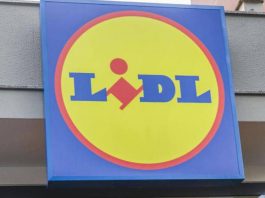 Mantova, furto al Lidl di Belfiore: coppia fugge a piedi inseguita dal responsabile