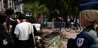 Cannes, palma travolge spettatore del festival sulla Croisette: è grave