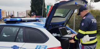 Marijuana tra le caramelle in cabina: camionista nei guai