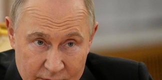 Ucraina, Putin risponde all’ultimatum Ue: “Proposti negoziati dal 15 maggio”