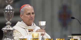 Conclave, tra i ‘papabili’ favoriti sale Robert Francis Prevost: chi è il cardinale statunitense