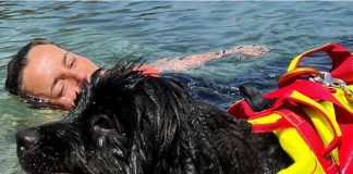 Estate, Sics: “300 cani salvataggio pronti per le accademie e i corsi internazionali”