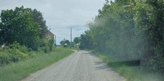 Viadana migliora la viabilità rurale con la sistemazione delle strade bianche