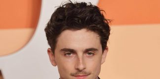 David 2025, chi è Timothée Chalamet: la star che riceve il premio speciale