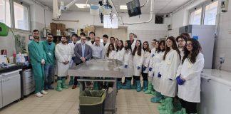 Veterinaria, inizia tirocinio matricole Tor Vergata a Istituto zooprofilattico Lazio e Toscana