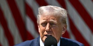Trump caccia Waltz, via il consigliere: “Sarà ambasciatore all’Onu”