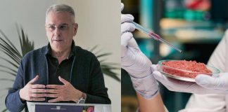 Domani è l’Hamburger Day: meglio naturale o sintetico? Risponde il medico-nutrizionista