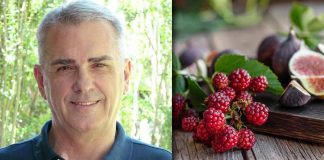 Caldo ‘booster’ stanchezza e cali di pressione, ecco come evitare lo stress termico