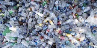 Coripet, nel 2024 raccolte oltre 165mila tonnellate di bottiglie in Pet
