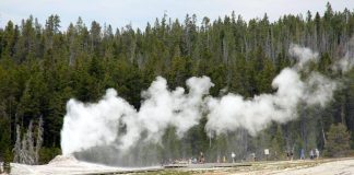 Incidente a Yellowstone, 7 morti: anche un’italiana tra le vittime