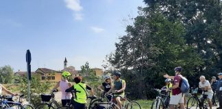 “Piante di lago, tra terra e acqua”: sabato il bicitour botanico intorno a Mantova