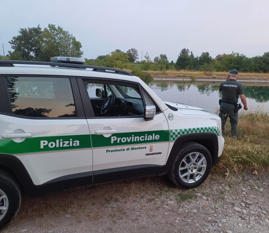 Borgo Virgilio, polizia provinciale salva sette anatre intrappolate in un canale