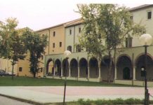 Provincia di Mantova via libera unanime al nuovo contratto di servizio con For.Ma