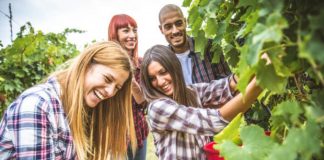 L’agricoltura mantovana guarda al futuro grazie ai giovani e al sostegno della Regione