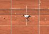 Roland Garros, Alcaraz e il super-punto che non vale – Video