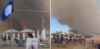 Incendio in pineta, fiamme lambiscono le spiagge di Baia Domizia: bagnanti in fuga – Video