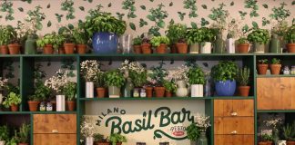 Food: a Milano arriva il Basil Bar, temporary bistrot dedicato al basilico