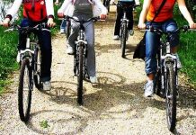 Biciclettata tra Gonzaga, Bondeno e Palidano con tappe, visite e degustazioni