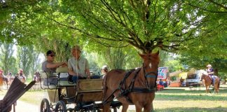 San Giorgio, Carrozze e Cavalli festeggia la 12ª edizione nella Foresta della Carpaneta