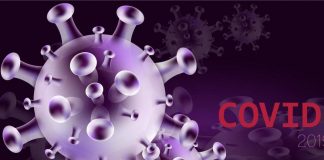Covid, in Italia primo caso di variante Nimbus