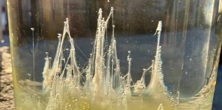 Mantova, ecco le barche di San Pietro ma il caldo ammaina molte vele