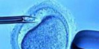 Fecondazione, mamme senza bombe ormonali con meno rischi aborto: ‘svolta per over 40’