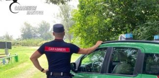 Veicoli abbandonati: sanzioni a Castiglione delle Stiviere e Guidizzolo