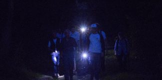 Suzzara, escursione notturna “Tra le ombre del parco” al Parco San Colombano