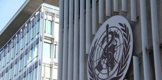 Covid, l’origine rimane un ‘mistero’. Oms: “Esperti divisi e Cina non dà dati”