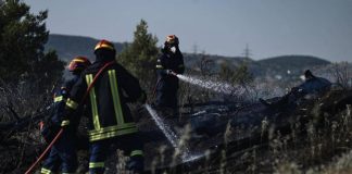 Grecia, maxi incendio a Chio: evacuati 19 insediamenti