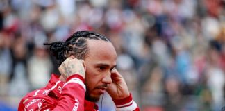 Hamilton e la marmotta investita: “Sono devastato, io amo gli animali”
