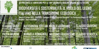 Il ruolo legno italiano in transizione ecologica, tavola rotonda con Afi e Assolegno
