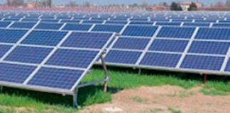 Stop al fotovoltaico nei campi: Noi Siamo Curtatone lancia una petizione