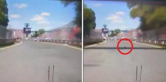 Gp Montreal, Hamilton investe una marmotta. Poi i problemi ai freni – Il video