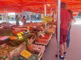 Ferragosto a km zero: a Mantova e provincia i Mercati Contadini restano aperti