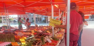 2 Giugno, mercato contadino aperto a Marmirolo, sospeso a Borgochiesanuova