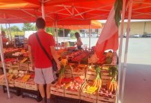 Mantova, mercati contadini confermati: aperta nuova gara per Lungorio e Cittadella